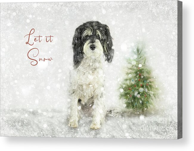 Let It Snow Acrylic Print featuring the photograph Let it Snow by Amy Dundon