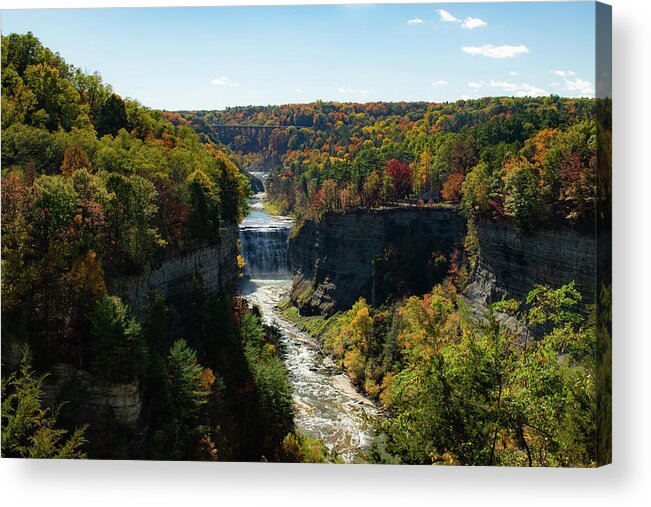 Nature Acrylic Print featuring the photograph Letchworth State Park by Nicole Lloyd
