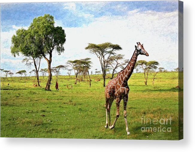 Giraffe Acrylic Print featuring the photograph Life on the Savanna by Diana Mary Sharpton