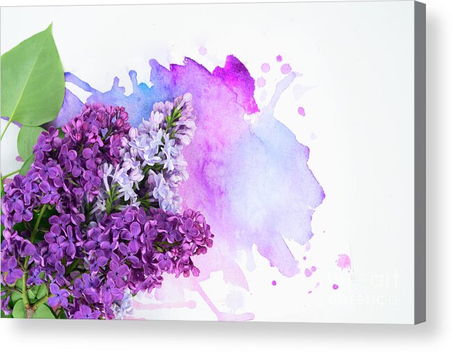 Lilac Acrylic Print featuring the photograph Lilac flowers on watercolor by Anastasy Yarmolovich