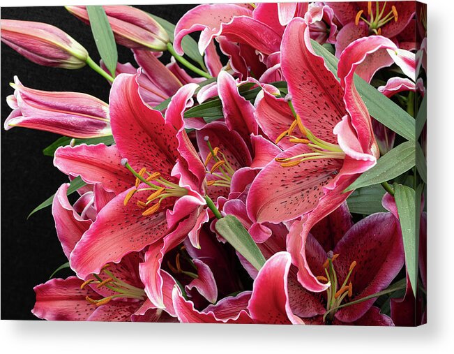 Chelsea Acrylic Print featuring the photograph Lilium Yasmine by Shirley Mitchell
