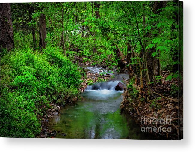 Cascade Acrylic Print featuring the photograph Little Cascade in Cherokee National Forest by Shelia Hunt
