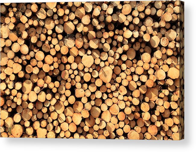 Large Group Of Objects Acrylic Print featuring the photograph Logs full frame XXXL by Pejft
