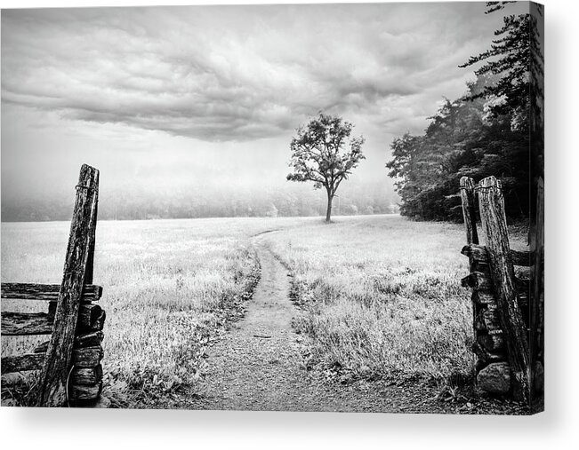 Barns Acrylic Print featuring the photograph Lone Tree on the Trail at Cades Cove Townsend Tennessee Black an by Debra and Dave Vanderlaan