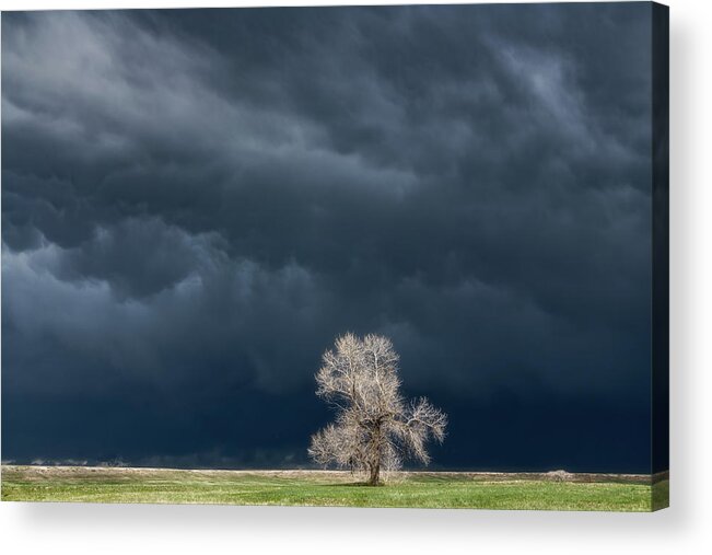 Storms Acrylic Print featuring the photograph Lone Tree Tornado Warning by Darren White