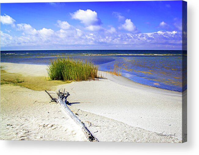 Color Acrylic Print featuring the photograph Lonely Beach by Alan Hausenflock