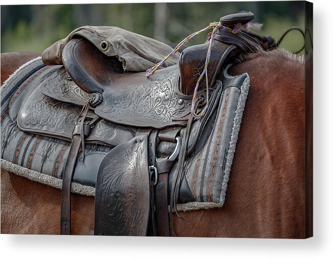 Black Cactus Acrylic Print featuring the photograph Lonely Saddle by Steve Kelley
