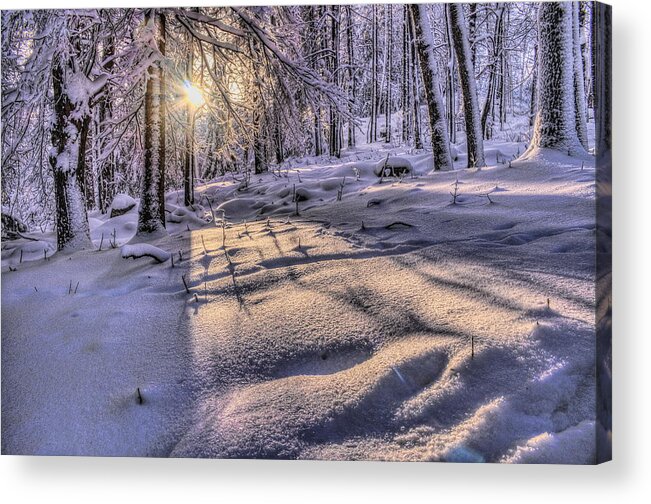 Winter Acrylic Print featuring the photograph Long Shadows In The Snow by Dale Kauzlaric