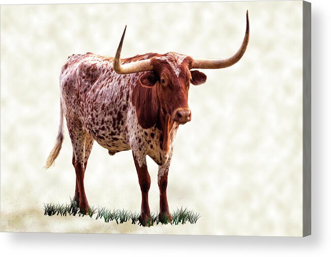 Longhorn Acrylic Print featuring the photograph Longhorn With Points Up Tan Texture by James Eddy