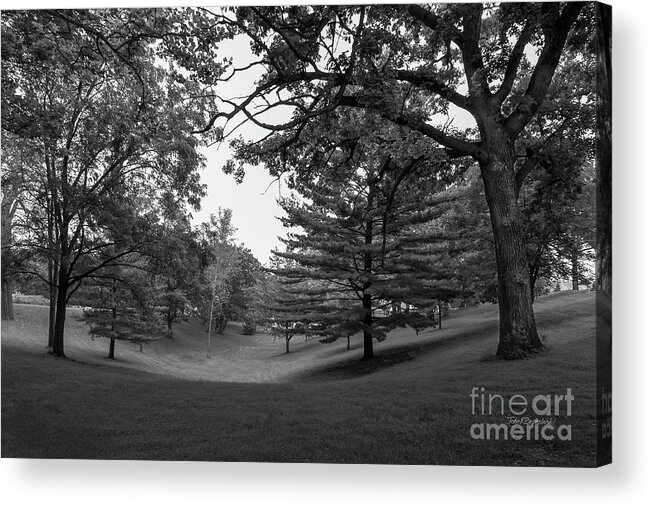 Loras College Acrylic Print featuring the photograph Loras College Landscape by University Icons