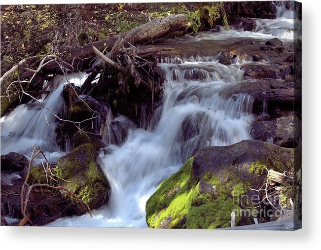 Waterfall Acrylic Print featuring the photograph Lost Creek State Park #3 Waterfall by Kae Cheatham