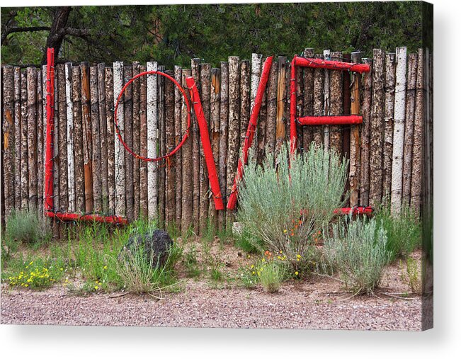 Love Acrylic Print featuring the photograph Love by Carmen Kern