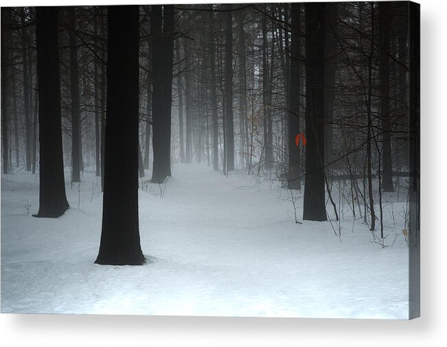 Woods Acrylic Print featuring the pyrography Lovely, Dark and Deep by Moira Law