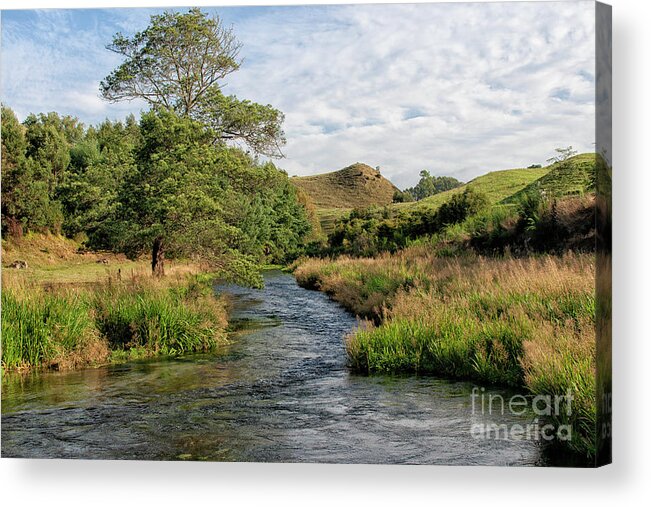 Bark Acrylic Print featuring the photograph Lovely landscape near Potaruru in New Zealand by Patricia Hofmeester