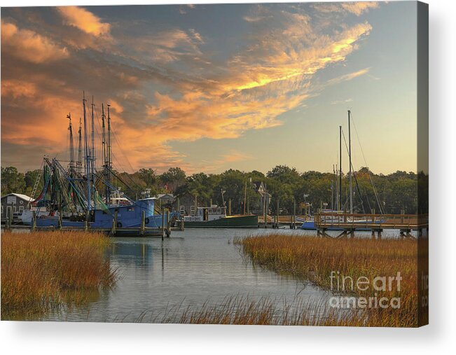 Shem Creek Acrylic Print featuring the photograph Lowcountry Gold - Shem Creek Winter Marsh Grass by Dale Powell