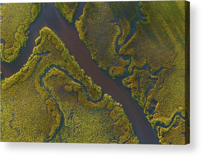 Charleston Acrylic Print featuring the photograph Lowcountry Marsh and Creek by Donnie Whitaker