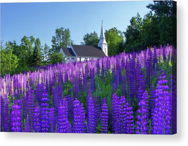 St Acrylic Print featuring the photograph Lupine Church by White Mountain Images