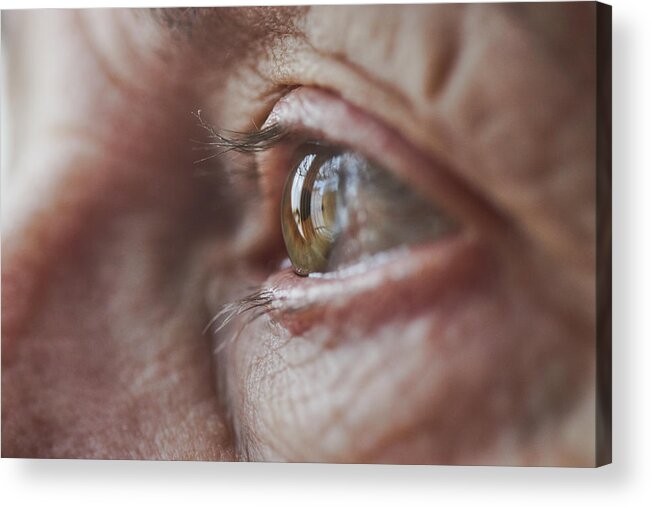 Eyelash Acrylic Print featuring the photograph Macro Eye of Female Senior by Rhys Hayward