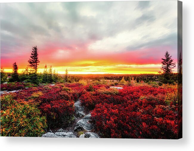 Landscape Acrylic Print featuring the photograph Magic of Autumn by C Renee Martin