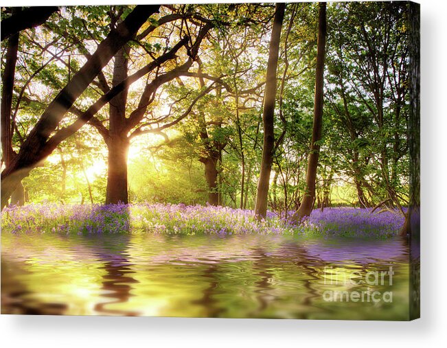 Bluebell Acrylic Print featuring the photograph Magical pond in bluebell forest by Simon Bratt