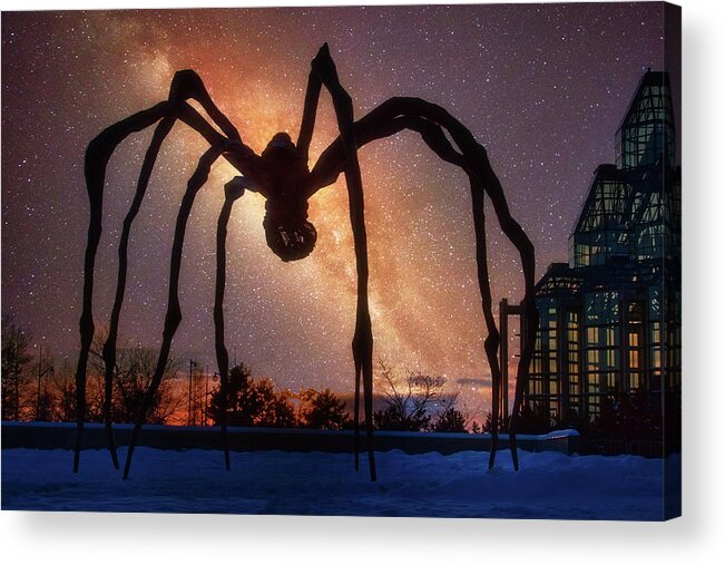 Maman Acrylic Print featuring the photograph Maman Spider on Starry Sky by Tatiana Travelways