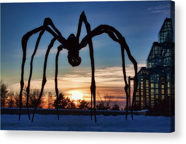 Maman Acrylic Print featuring the photograph Maman the Spider, Ottawa by Tatiana Travelways