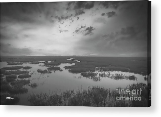 Landscapes Acrylic Print featuring the photograph Marshes of Glynn 2 by DB Hayes