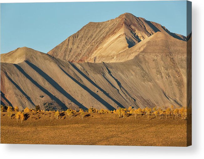 Fall Acrylic Print featuring the photograph Massive Mountain and Aspen Row by Denise Bush