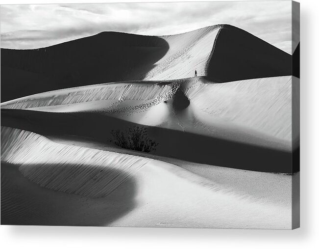 American Landscape Acrylic Print featuring the photograph Lone Hiker on Dunes bw by Jonathan Nguyen