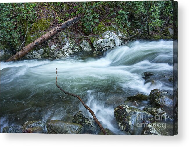 Middle Prong Little River Acrylic Print featuring the photograph Middle Prong Little River 51 by Phil Perkins