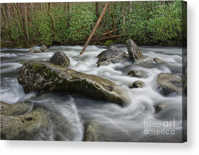 Middle Prong Little River Acrylic Print featuring the photograph Middle Prong Little River 56 by Phil Perkins