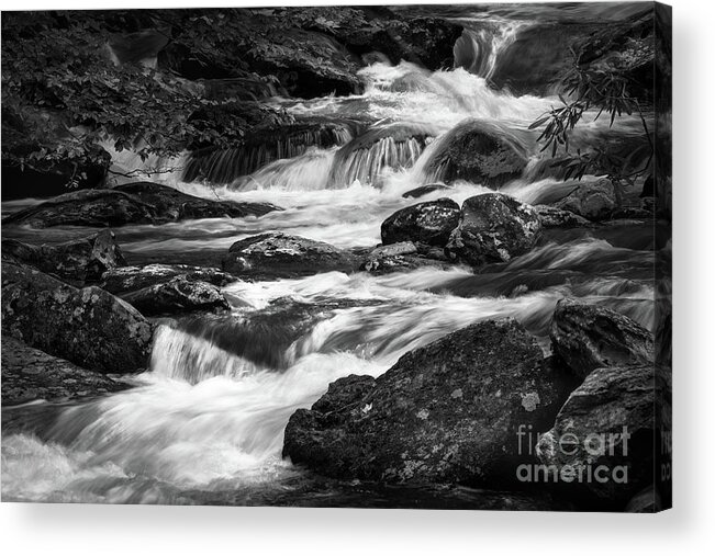 Middle Prong River Acrylic Print featuring the photograph Middle Prong River by Doug Sturgess