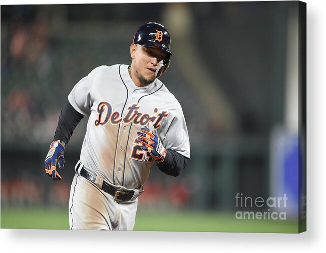 Three Quarter Length Acrylic Print featuring the photograph Miguel Cabrera by Mitchell Layton