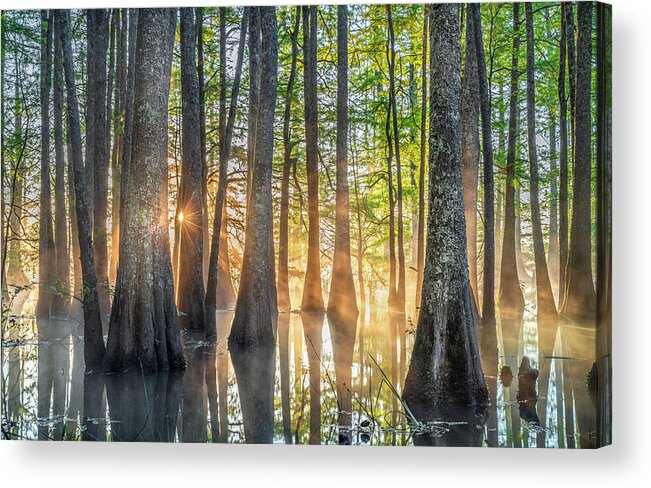 Noxubee National Wildlife Refuge Acrylic Print featuring the photograph Mississippi Cypress Tree Sunrise In Morning Fog by Jordan Hill