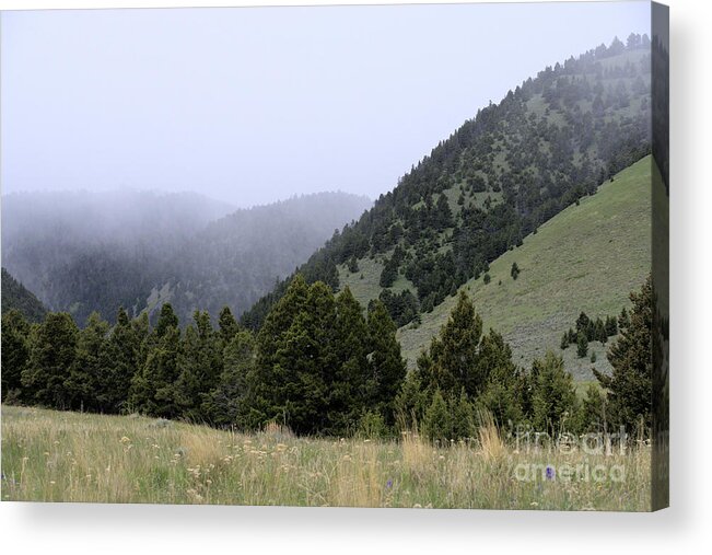 Scenic Acrylic Print featuring the photograph Mist in the Mountains by Kae Cheatham