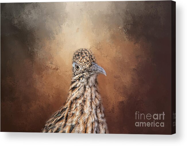 Greater Roadrunner Acrylic Print featuring the mixed media Mister Roadrunner One by Elisabeth Lucas