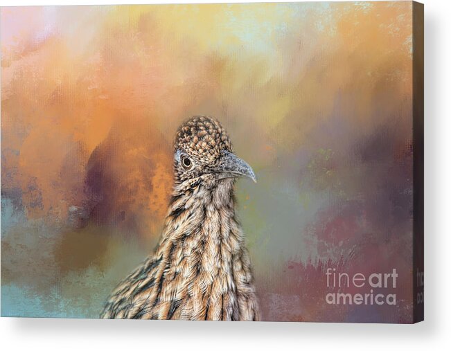 Greater Roadrunner Acrylic Print featuring the photograph Mister Roadrunner Two by Elisabeth Lucas