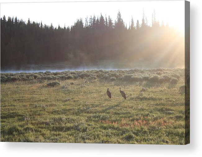 Mist Acrylic Print featuring the photograph Misty morning by Yvonne M Smith
