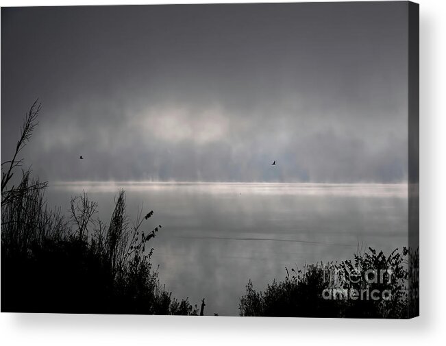 Pa Acrylic Print featuring the digital art Misty Sunrise At Bald Eagle State Park by Lois Bryan
