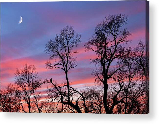 Moon Acrylic Print featuring the photograph Moment of Solitude by Darren White