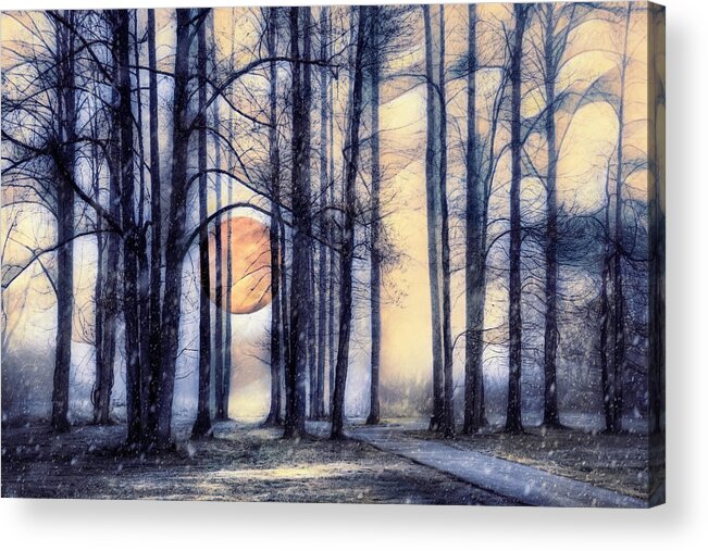 Carolina Acrylic Print featuring the photograph Moonglow in the Winter by Debra and Dave Vanderlaan