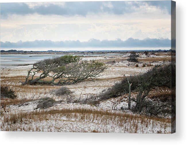 Beach Acrylic Print featuring the photograph Morning at Cedar Island Beach by Bob Decker