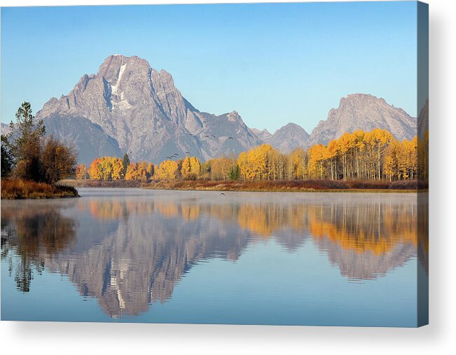 Canada Goose Acrylic Print featuring the photograph Morning at Oxbow Bend by Robert Carter