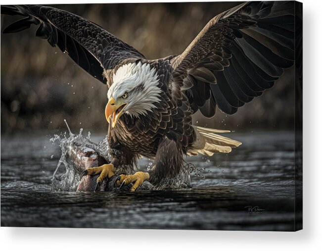 Eagle Acrylic Print featuring the photograph Morning Attack by Bill Posner