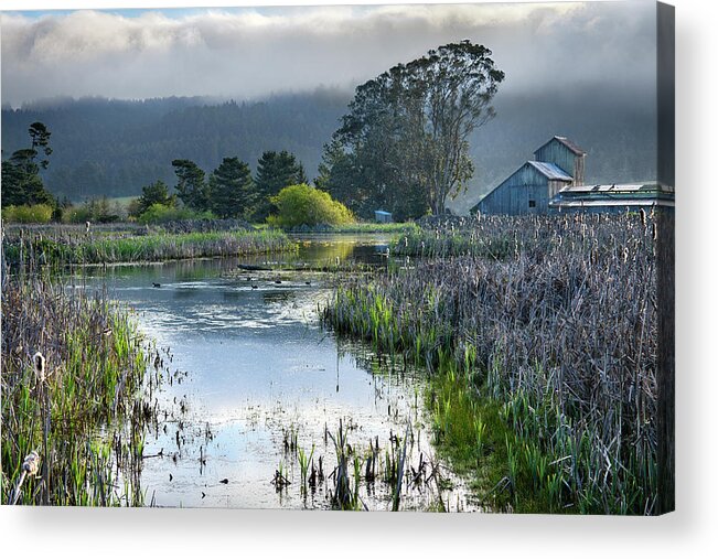 Humboldt Acrylic Print featuring the photograph Morning Glory by Jon Exley