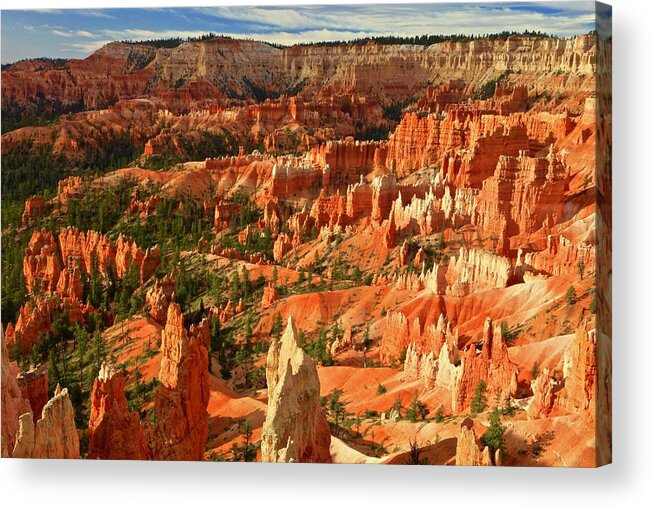 Bryce Canyon National Park Acrylic Print featuring the photograph Morning in Bryce Canyon by Geoff McGilvray
