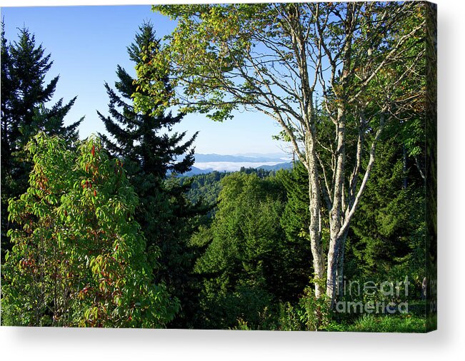 Tennessee Acrylic Print featuring the photograph Morning in the Mountains 3 by Phil Perkins