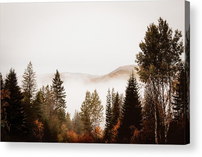 Canada Acrylic Print featuring the photograph Morning Mist by Carmen Kern