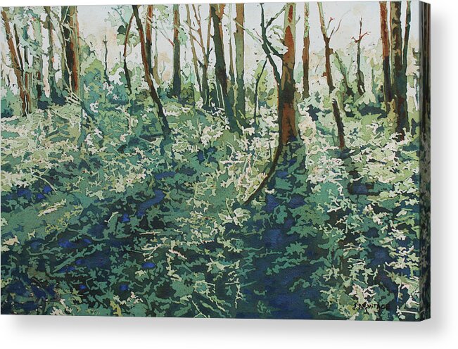 Forest Acrylic Print featuring the painting Morning Shadows by Jenny Armitage