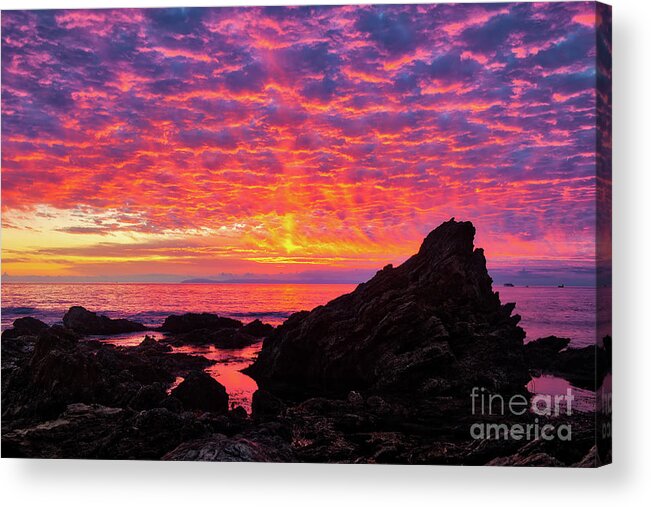 Mother Acrylic Print featuring the photograph Mother Nature's Color Show by Eddie Yerkish